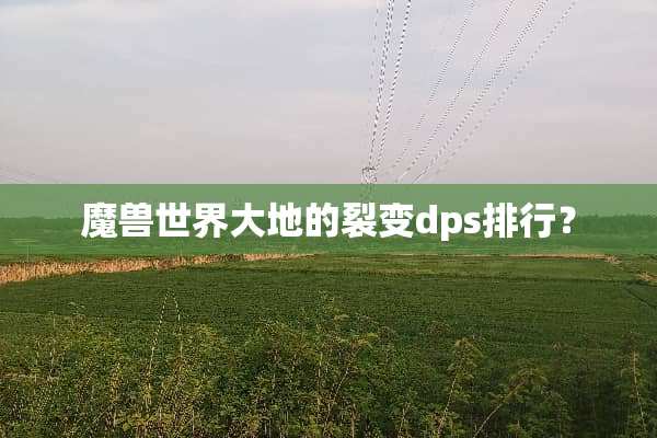 魔兽世界大地的裂变dps排行？