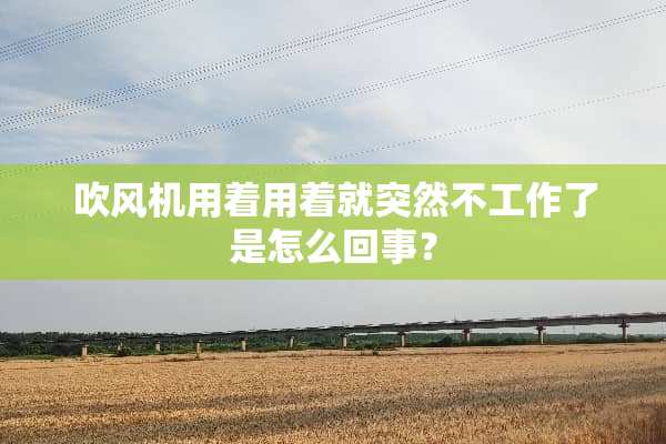 吹风机用着用着就突然不工作了是怎么回事？