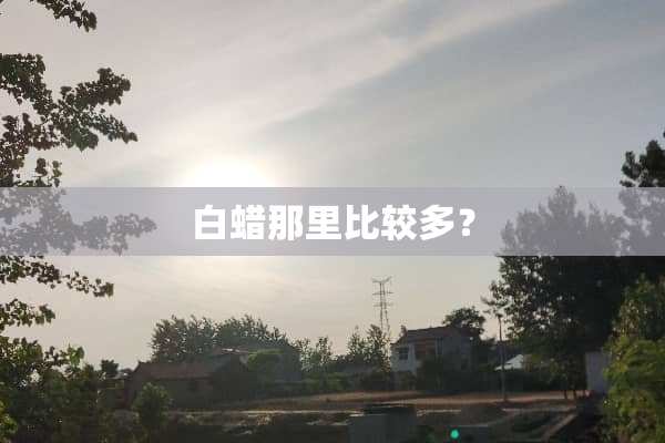 白蜡那里比较多？