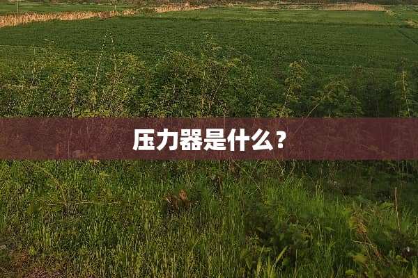 压力器是什么？