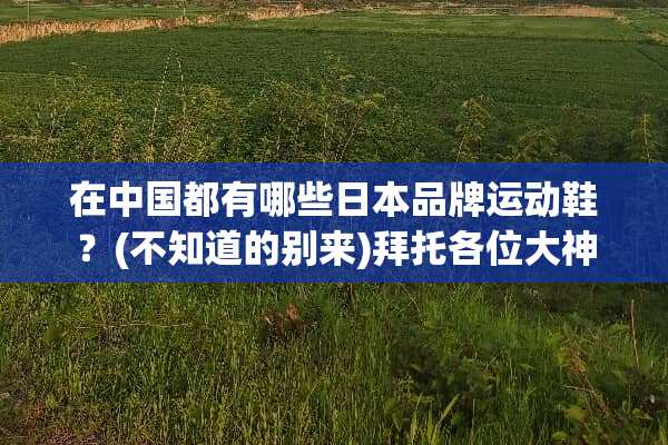 在中国都有哪些日本品牌运动鞋？(不知道的别来)拜托各位大神