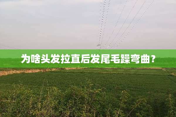 为啥头发拉直后发尾毛躁弯曲？
