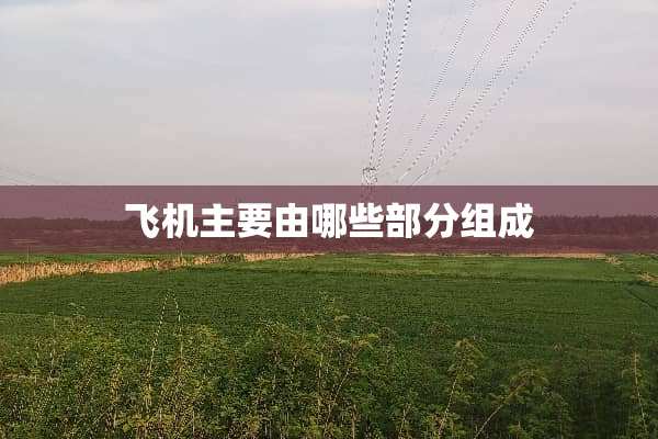 飞机主要由哪些部分组成