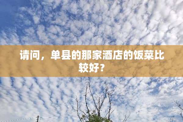 请问，单县的那家酒店的饭菜比较好？