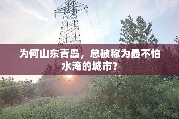 为**东青岛，总被称为最不怕水淹的城市？