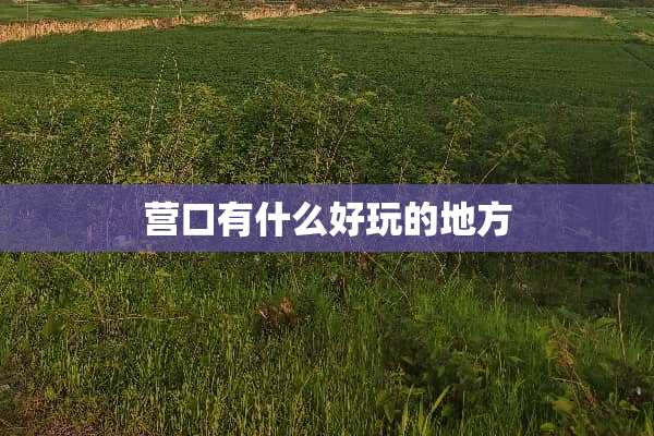 营口有什么好玩的地方
