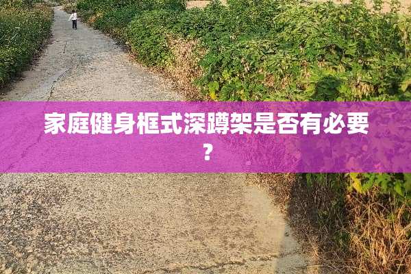 家庭健身框式深蹲架是否有必要？