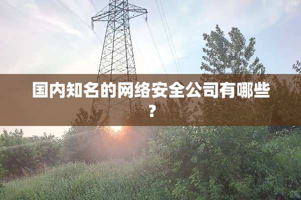 国内知名的网络安全公司有哪些？