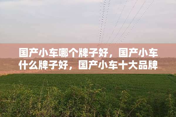 国产小车哪个牌子好，国产小车什么牌子好，国产小车十大品牌排名