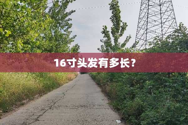 16寸头发有多长？