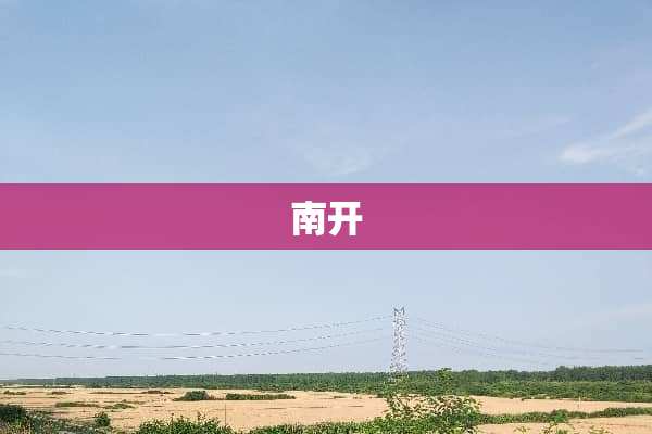 南开