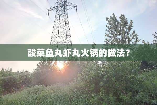 酸菜鱼丸虾丸火锅的做法？