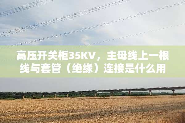 高压开关柜35KV，主母线上一根线与套管（绝缘）连接是什么用途？