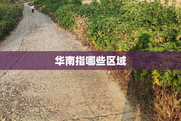 华南指哪些区域