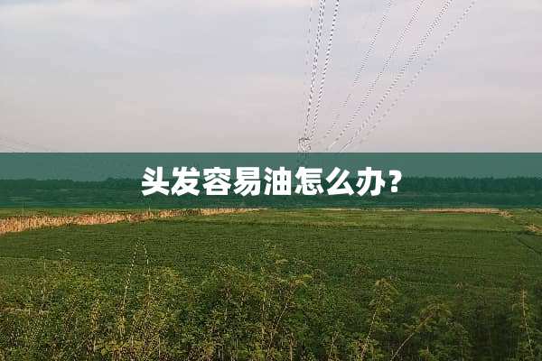 头发容易油怎么办？