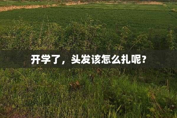 开学了，头发该怎么扎呢？