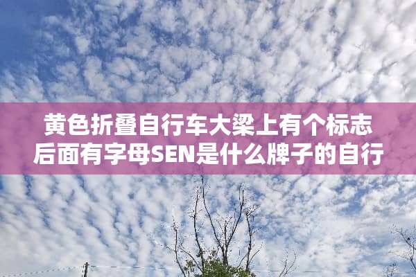 **折叠自行车大梁上有个标志后面有字母SEN是什么牌子的自行车？SEN自行车