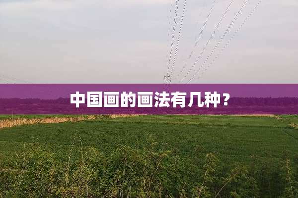 中国画的画法有几种？