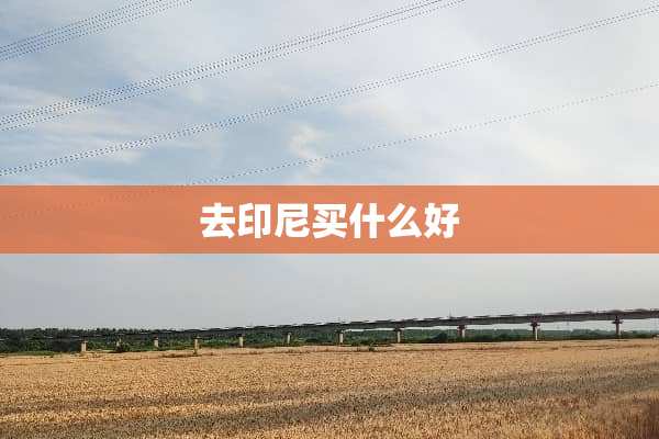 去印尼买什么好