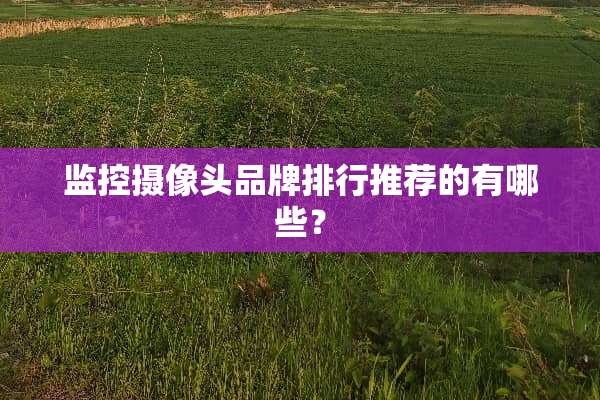 监控**头品牌排行推荐的有哪些？