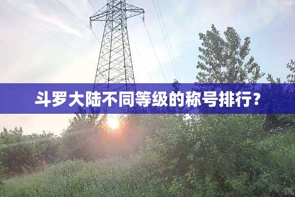 斗罗**不同等级的称号排行？