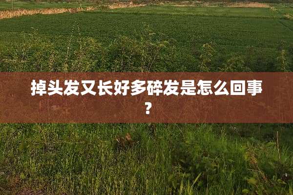 掉头发又长好多碎发是怎么回事？