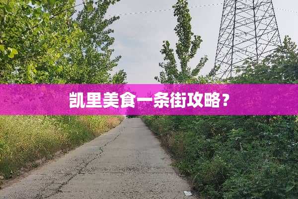 凯里美食一条街攻略？
