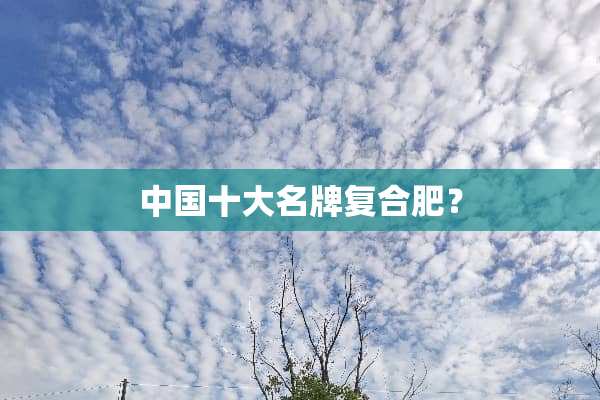 中国十大名牌复合肥？