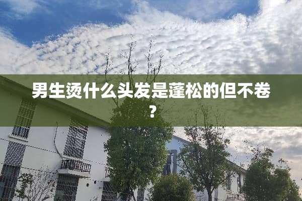 男生烫什么头发是蓬松的但不卷？
