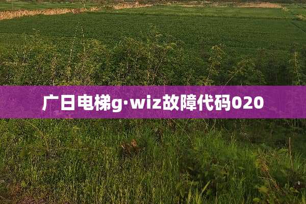 广日电梯g·wiz故障代码020