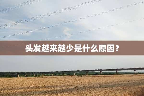 头发越来越少是什么原因？