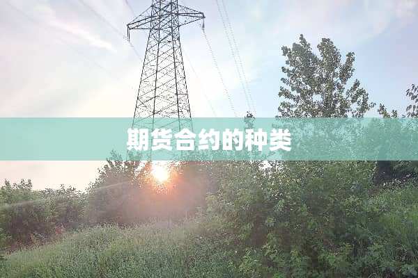 期货合约的种类