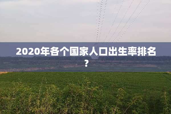 2020年各个国家人口出生率排名？