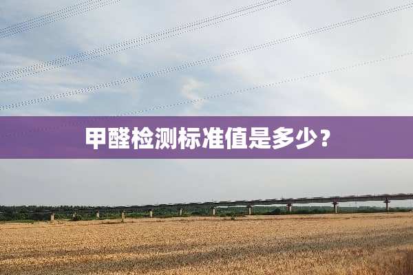 甲醛检测标准值是多少？