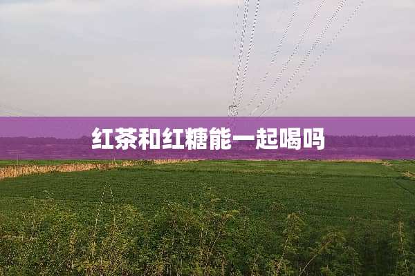 红茶和红糖能一起喝吗