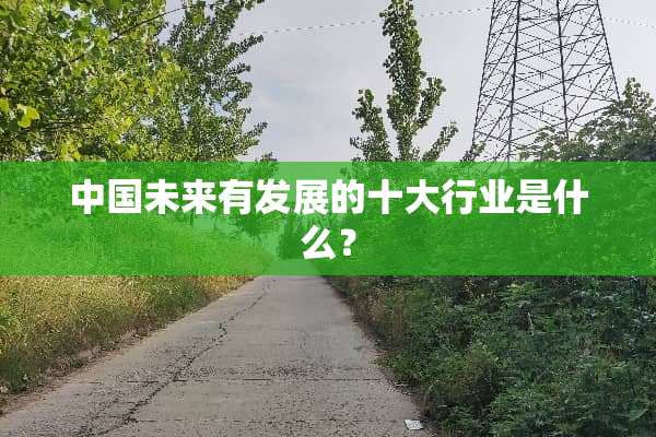 中国未来有发展的十大行业是什么？