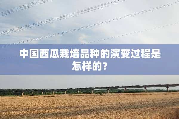 中国西瓜栽培品种的演变过程是怎样的？