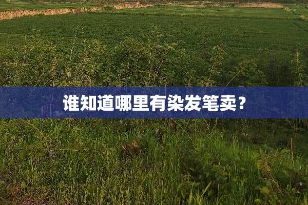 谁知道哪里有染发笔卖？