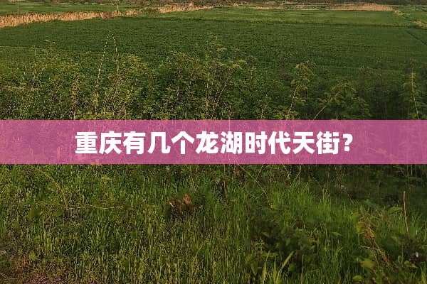 重庆有几个龙湖时代天街？