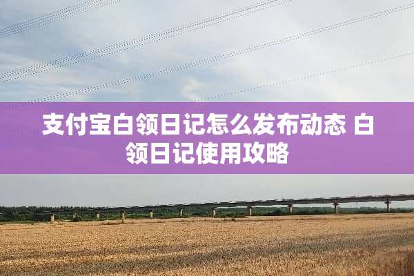 支付宝白领日记怎么发布动态 白领日记使用攻略