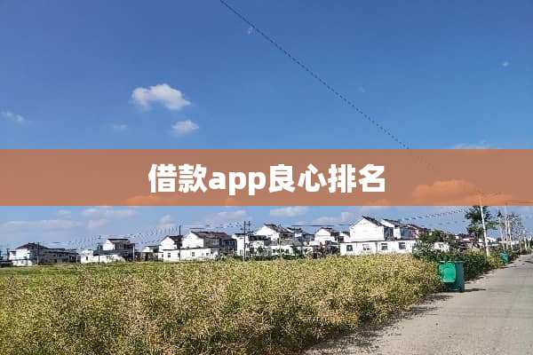 借款app良心排名