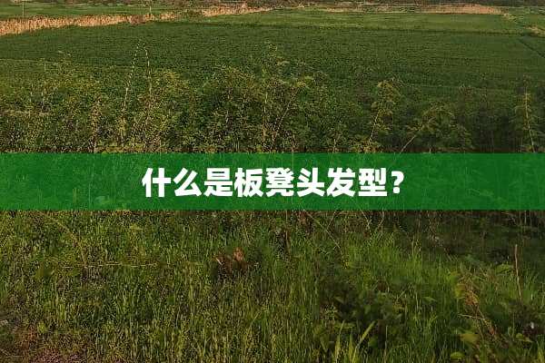 什么是板凳头发型？