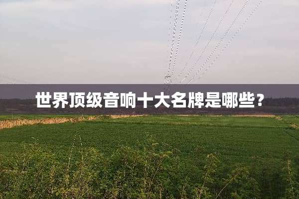 世界**音响十大名牌是哪些？