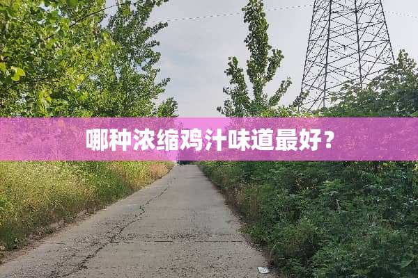 哪种浓缩鸡汁味道最好？