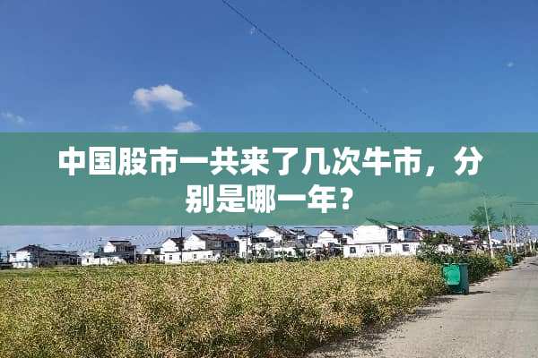 中国股市一共来了几次牛市，分别是哪一年？