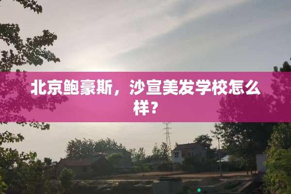 北京鲍豪斯，沙宣美发学校怎么样？