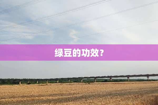 绿豆的功效？