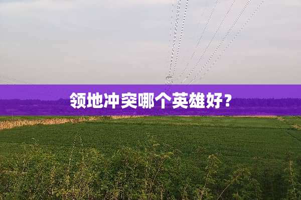 领地冲突哪个英雄好？