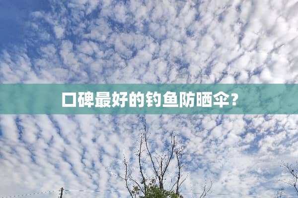 口碑最好的钓鱼防晒伞？