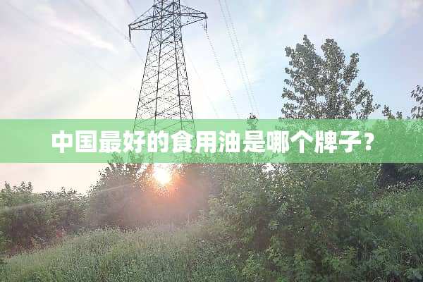 中国最好的食用油是哪个牌子？